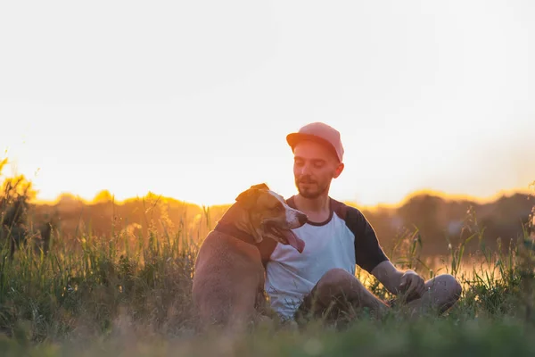 Nsanoğlu Gün Batımında Yaz Mevsiminde Köpeğiyle Etkileşime Girer Evcil Hayvanlar — Stok fotoğraf