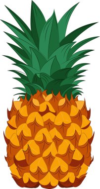 Beyaz arkaplanda izole edilmiş ananas