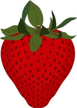 Çilek beyaz arkaplanda izole edildi