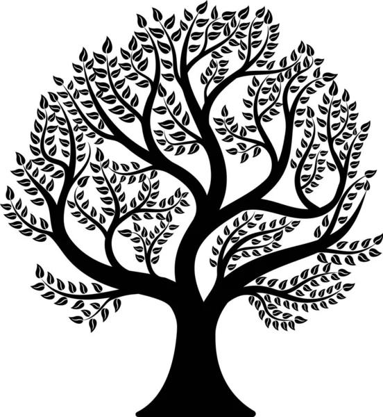 Beyaz arkaplanda izole edilmiş ağaç