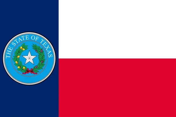 Bandera de Texas en Estados Unidos — Archivo Imágenes Vectoriales