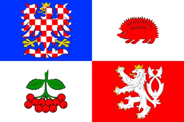 Flagge der Region Vysocina in der Tschechischen Republik — Stockvektor