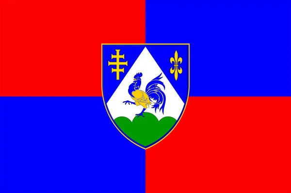 克罗地亚科普里夫尼察-克里泽夫奇县国旗 — 图库矢量图片