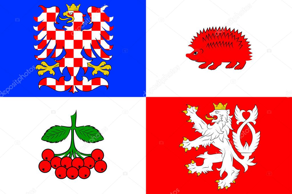 Flag of Vysocina Region in Czech Republic