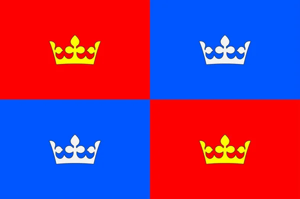 Bandera de Prague 1 en República Checa — Archivo Imágenes Vectoriales