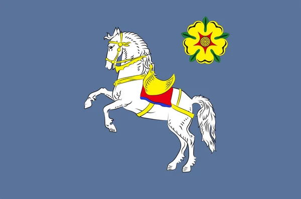 Ostrava flagga i Mähren-Schlesiens region i Tjeckien — Stock vektor