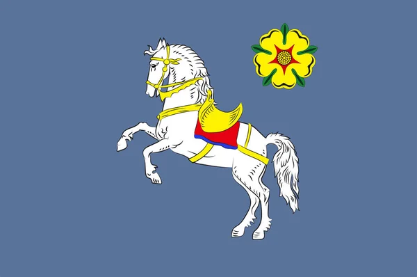 Bandera de Ostrava en Moravia-Silesia Región de República Checa — Archivo Imágenes Vectoriales