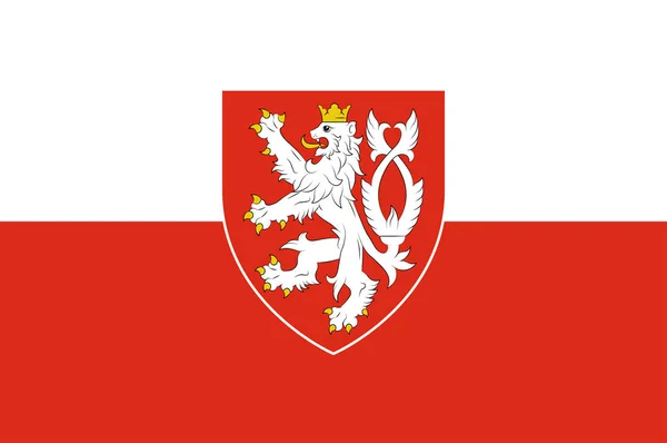 Flaga Czech w Czechach — Wektor stockowy