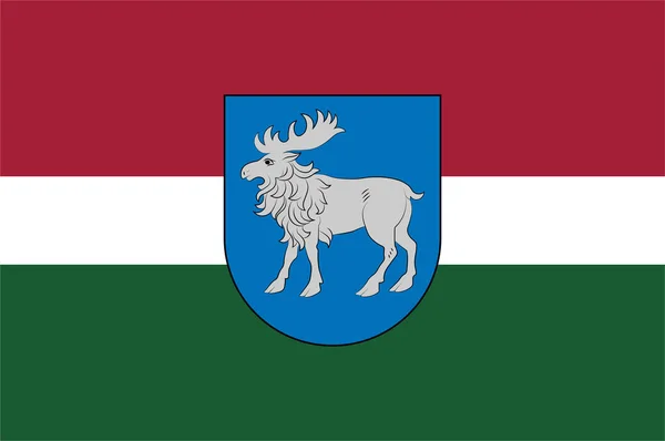 Flagge von Selonia in Lettland — Stockvektor