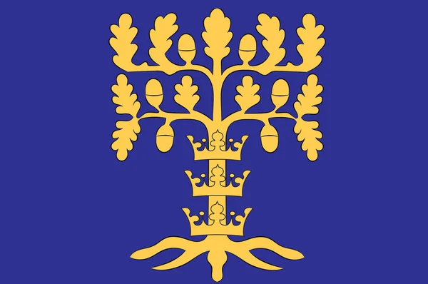 Bandeira de Blekinge é uma das províncias tradicionais da Suécia —  Vetores de Stock