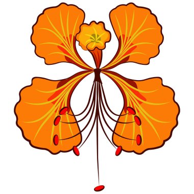 Egzotik sarı çiçekler caesalpinia.