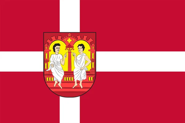 Viborg, Dánia Közép-Jyllandi régióban zászlaja — Stock Vector