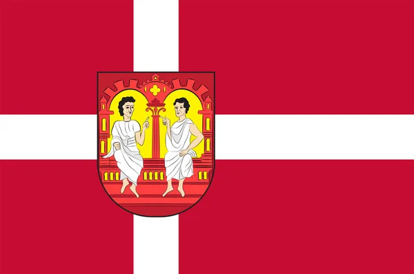 Drapeau de Viborg dans la région du Jutland central du Danemark — Image vectorielle