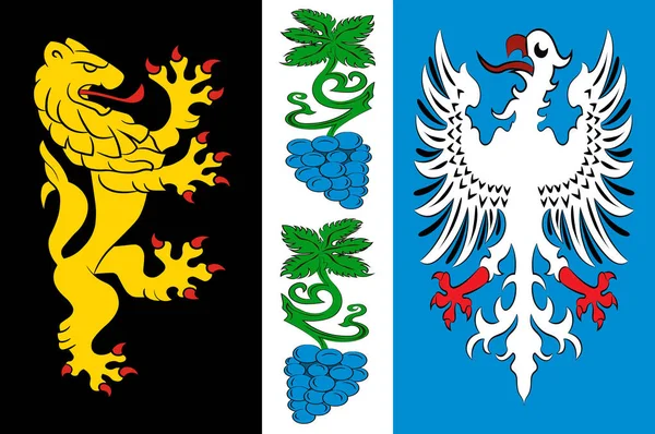 ラインラント・パラティネートのバート・デュエルクハイムの旗(ドイツ) — ストックベクタ
