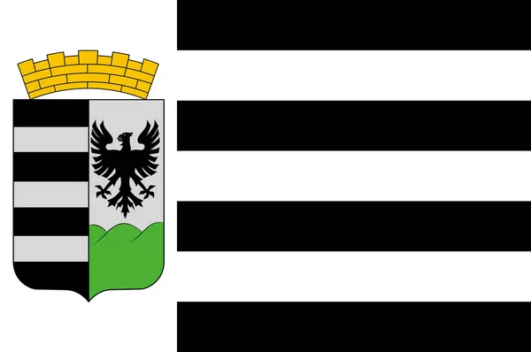 Vlajka Salgotarjana v Maďarsku v Nogradské oblasti — Stockový vektor