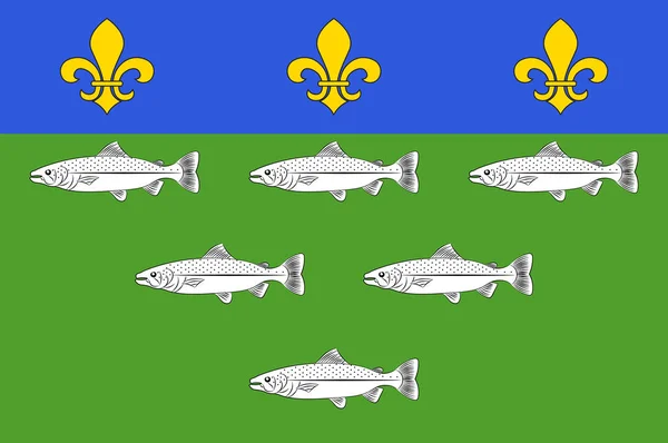 Σημαία των Loches στο Ίντρε-ΕΤ-Λίγηρα του κέντρου-Βαλ ντε Λουάρ, Γαλλία — Διανυσματικό Αρχείο