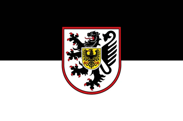 Bandera de Landau en Renania-Palatinado, Alemania — Archivo Imágenes Vectoriales