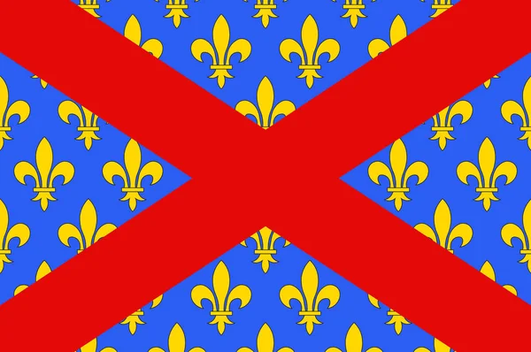 Bandera de Langres en Haute-Marne de Grand Est es administrativa re — Archivo Imágenes Vectoriales