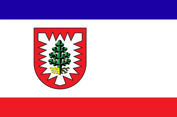 Almanya 'da Schleswig-Holstein içinde Pinneberg bayrağı — Stok Vektör