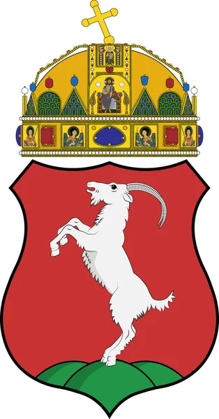 Escudo de armas de Kecskemet en Bacs-Kiskun de Hungría — Vector de stock