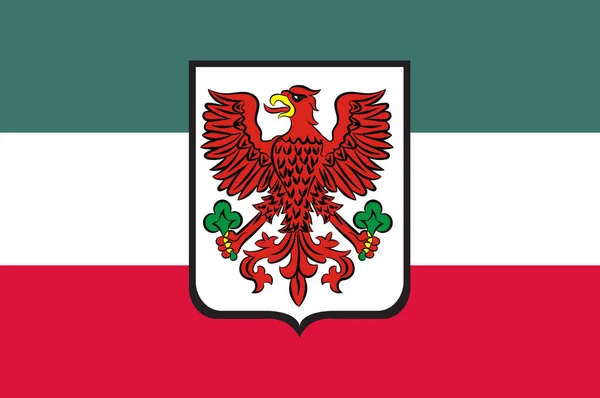 Bandiera della città di Gorzow Wielkopolski nel Voivodato di Lubusz — Vettoriale Stock