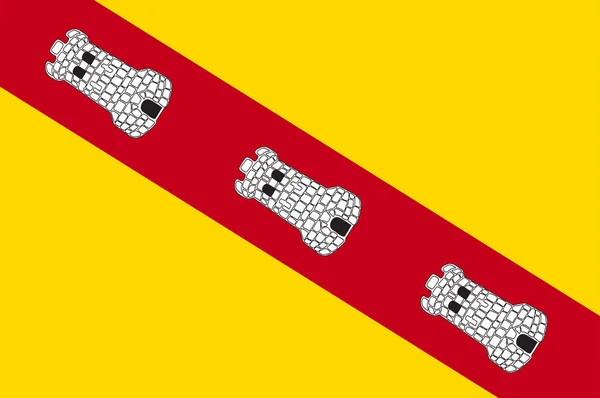 Bandera de Neufchateau in Vosges of Grand Est es una administración francesa. — Vector de stock