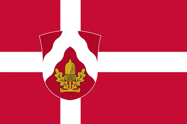 Vlajka podivnější v centrální oblasti Dánska — Stockový vektor