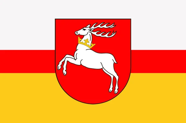 Vlag van Lublin in Zuidoost-Polen — Stockvector