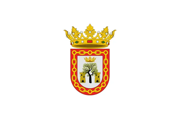 Bandeira de Olite em Navarra, Espanha — Vetor de Stock