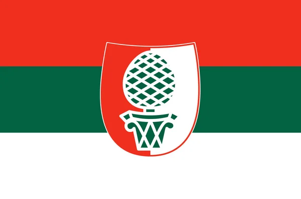 Vlag van Ansbach in Midden-Franken — Stockvector