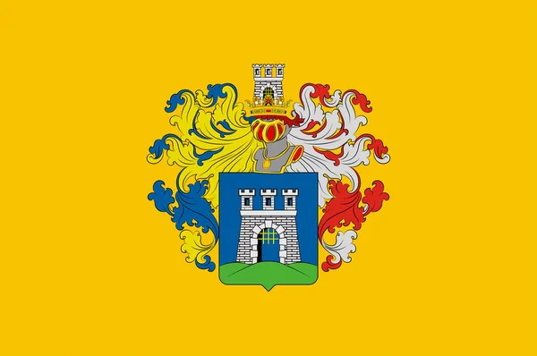 Vlajka Kaposvara v okrese Somogy v Maďarsku — Stockový vektor