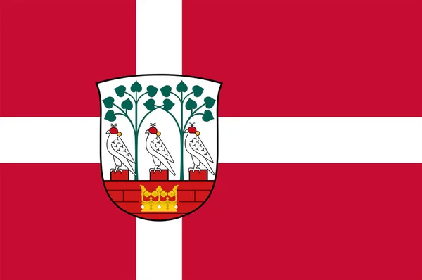 Bandeira de Frederiksberg é um município da Dinamarca — Vetor de Stock