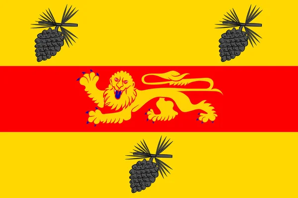 Bandera de las Landas en Nouvelle-Aquitania es la administración más grande — Vector de stock