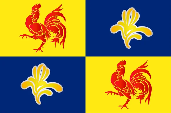 Drapeau de Wallonie en Belgique — Image vectorielle