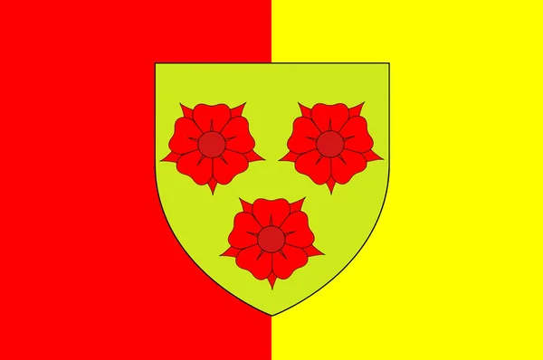 Прапор Гренобль-ієр регіону Овернь-Рона-Альпи в Фран — стоковий вектор