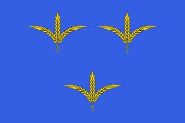 Nouvelle-Aquitaine Correze içinde Brive-la-Gaillarde bayrağı t