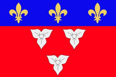 Centre-Val de Loire, Fransa içinde Orleans bayrağı