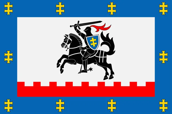 Vlag van Panevezys in Litouwen — Stockvector