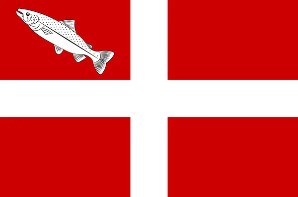 奥弗涅-罗纳-阿尔卑斯地区上萨沃伊的安妮西旗 — 图库矢量图片