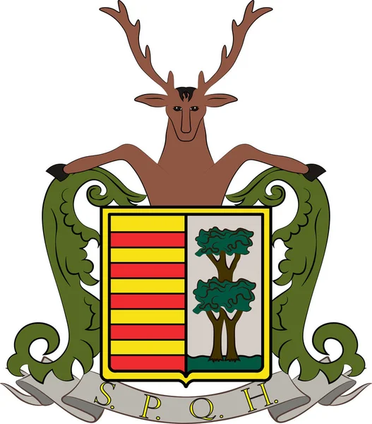Coat of arms of Hasselt in Limburg of Belgium — Stock Vector
