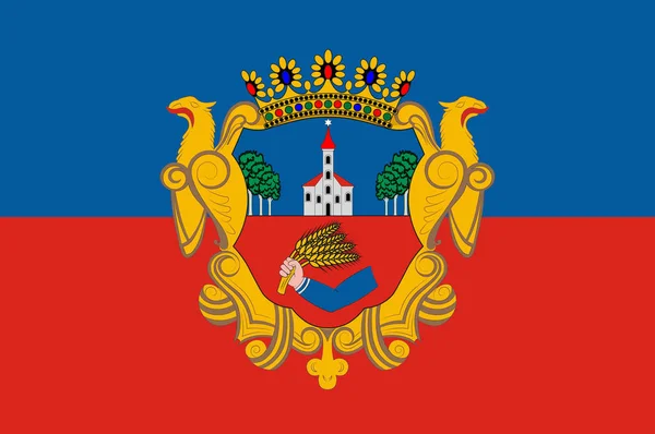Bandeira de Nyiregyhaza in Szabolcs-Szatmar-Bereg County of Hungary —  Vetores de Stock
