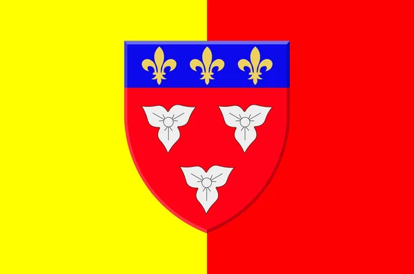 Bandera de Orleans en Centre-Val de Loire, Francia — Archivo Imágenes Vectoriales