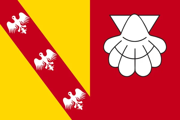Bandeira de Chateau-Salins in Moselle of Grand Est é um administrador francês —  Vetores de Stock