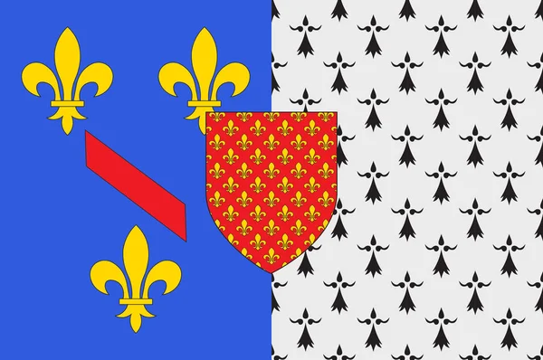 Flaga Chateaubriant w Loire-Atlantique z Pays de la Loire jest — Wektor stockowy