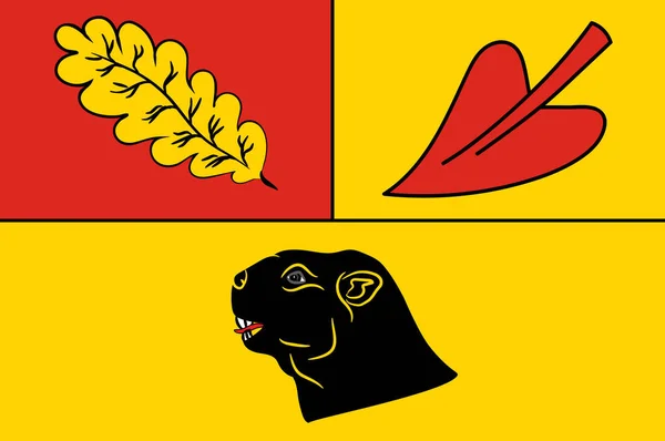 Bandiera di Hoerstel in Renania Settentrionale-Vestfalia, Germania — Vettoriale Stock