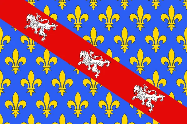Флаг Крёза в Новель-Аквитании является крупнейшим административным — стоковый вектор