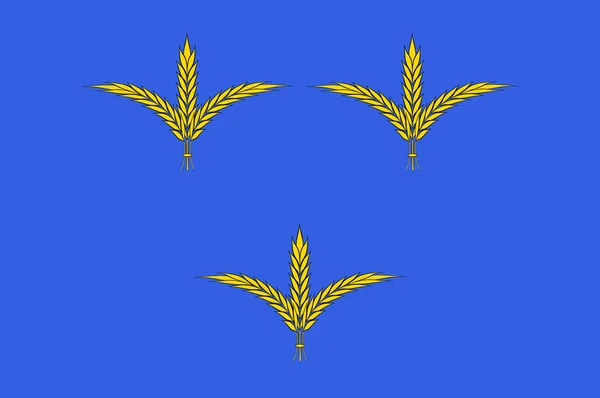 ヌーヴェル・アキテーヌのコレーゼのブリーヴ・ラ・ガイヤルドの旗はt — ストックベクタ
