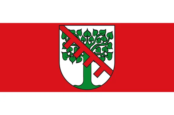 Kuzey Ren-Vestfalya'da Senden bayrağı, Almanya — Stok Vektör
