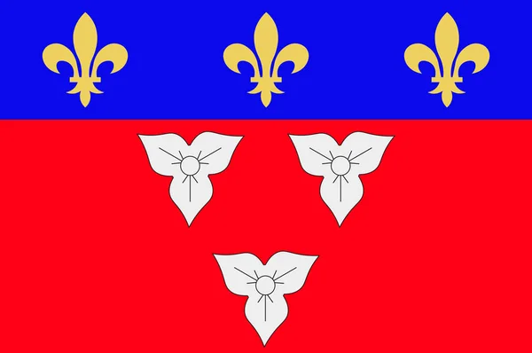 Bandera de Orleans en Centre-Val de Loire, Francia — Archivo Imágenes Vectoriales