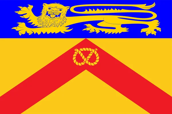 イングランドのスタッフォードシャーの国旗 — ストックベクタ
